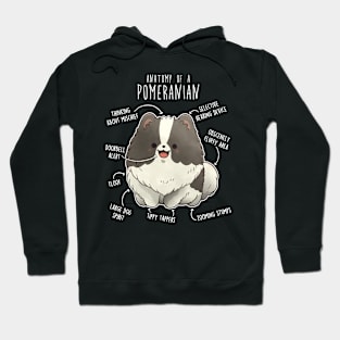 Parti Pomeranian Dog Anatomy Hoodie